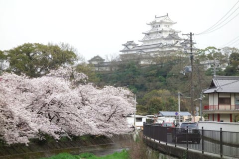 姫路城 北側