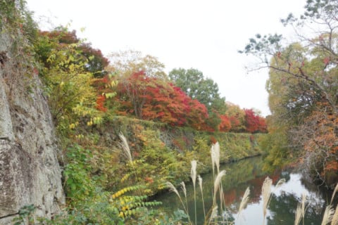 姫山公園入り口