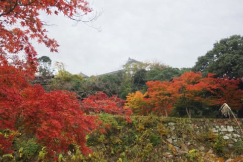 姫路城 内堀沿い